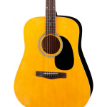 Rogue RD80 Dreadnought Acoustic Guitar